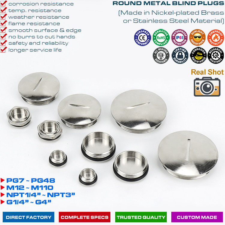 304, 316 Stainless Steel (Brass) Round or Hexagonal Blind Plugs Blanking Plugs with PG7~PG48 & M12~M110 threads