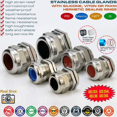 Ốc siết cáp chống thấm PG bằng thép không gỉ SS304 / SS316 / SS316L (IP68) với gioăng cao su fluororubber